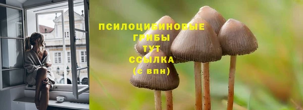гидропоника Богородск