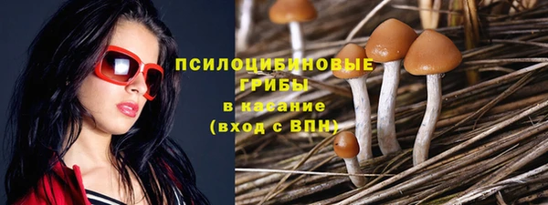 гашишное масло Богородицк
