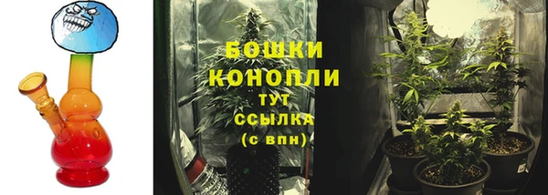 бутират Богданович