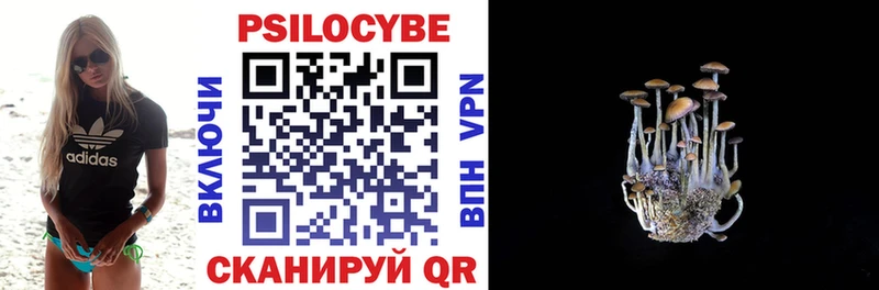 Галлюциногенные грибы GOLDEN TEACHER  Старица 